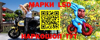 стафф Шахты