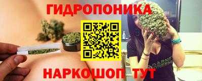 стафф Шахты
